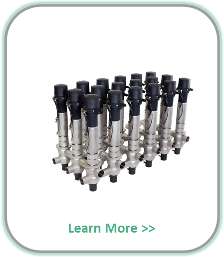 Sanitary mix-proof valves